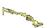wormskell.gif